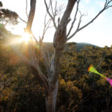 Hiking, Perisher, Australia
