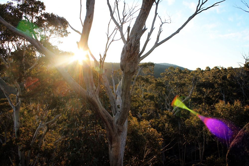 Hiking, Perisher, Australia