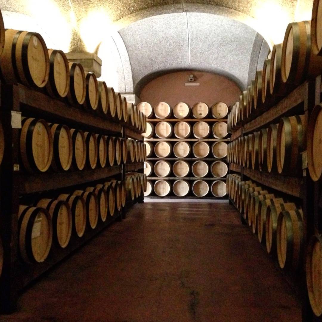 Wine tasting, Sardinia, Italy