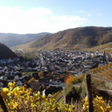 Ahr Valley, Germany wine tasting