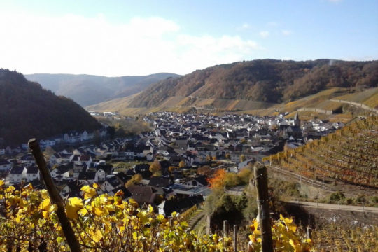 Ahr Valley, Germany wine tasting