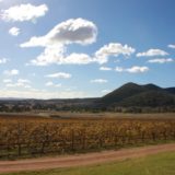 Mudgee, Australia wine tasting