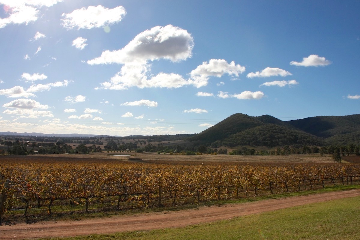 Mudgee, Australia wine tasting