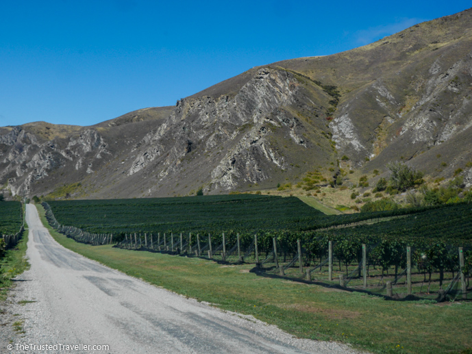 Chard Farm, Gibbston Valley, New Zealand