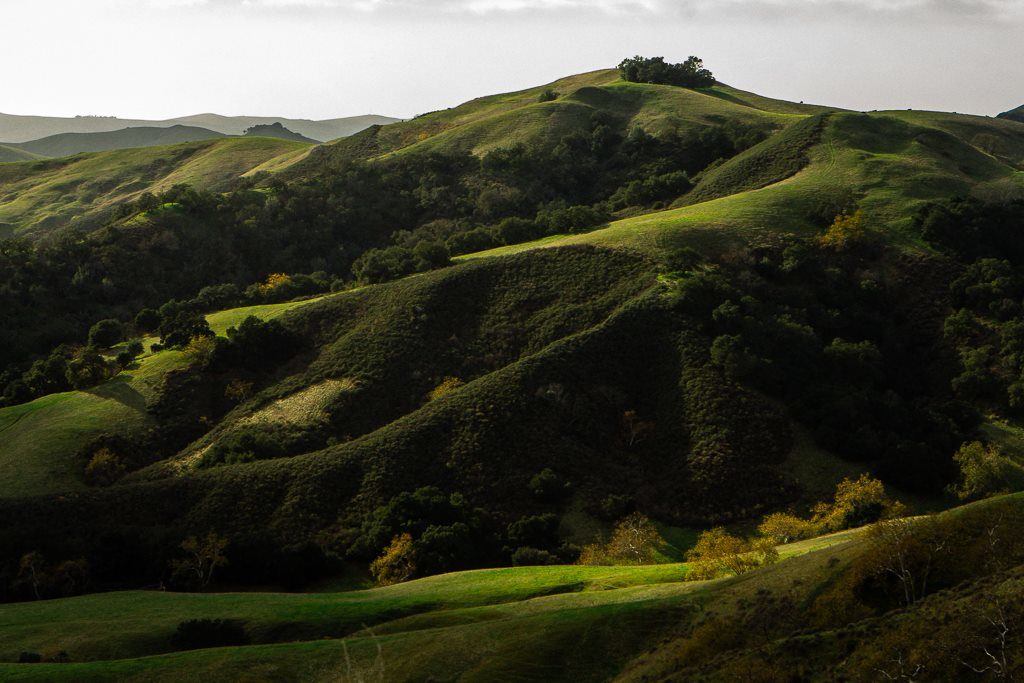 San Luis Obispo, California wine tasting