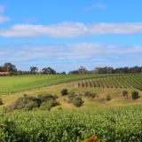 Margaret Valley, Australia wine tasting