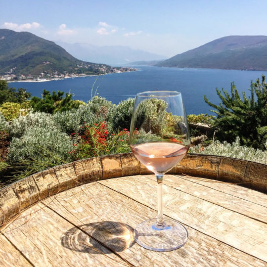 Montenegro wine tasting