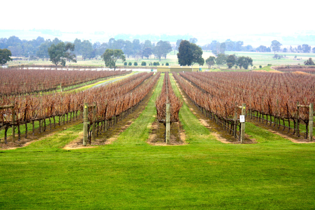 Yarra Valley, Victoria, Australia wine tasting