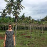 Hatten Wines, Bali, wine tasting, Indonesia