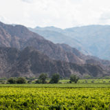 Cafayate, Argentina wine tasting