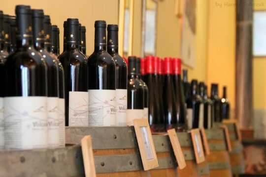 Golan Heights Winery, Israel wine tasting