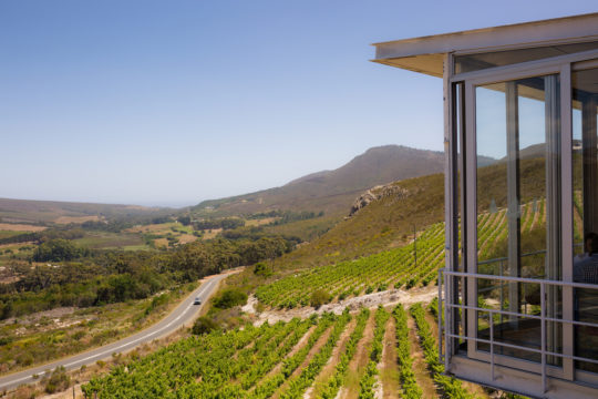 Newton Johnson Winery, Hemel en Aarde Valley, South Africa wine tasting