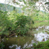 ATM Cave hiking tour, Belize