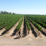 Mendoza, Argentina wine tasting