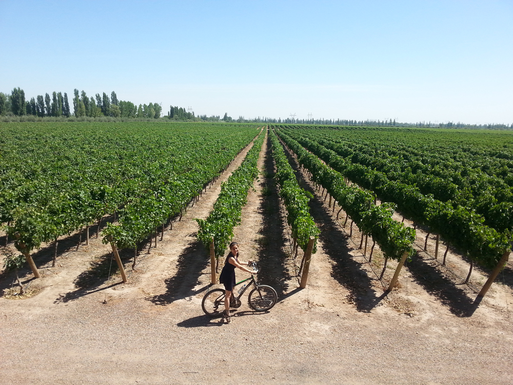 Mendoza, Argentina wine tasting