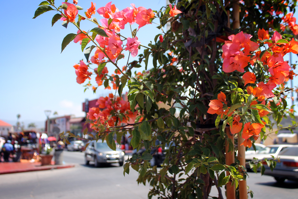 Ensenada, Mexico