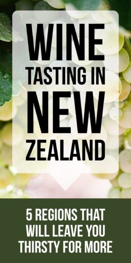 Pinterest: Wine Tasting in New Zealand