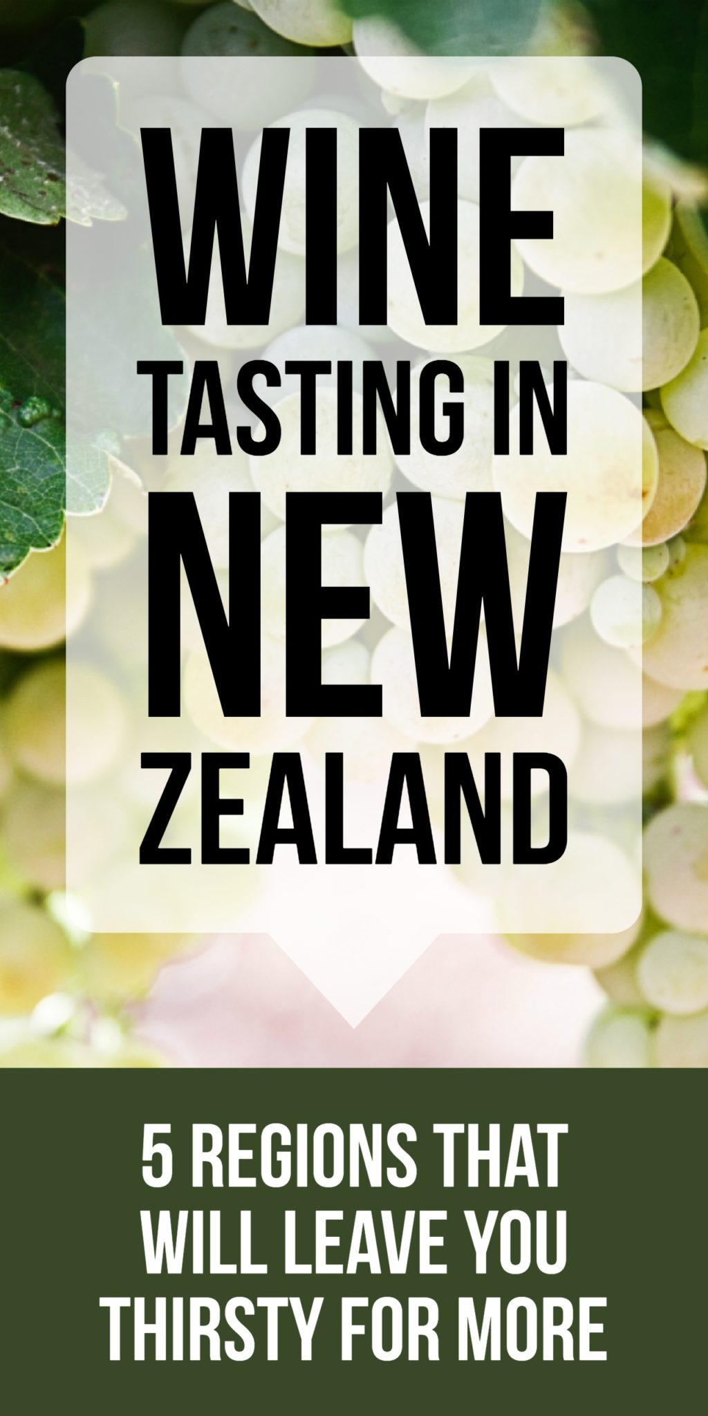 As one of the world's top twenty wine producers, New Zealand has no shortage of amazing wine regions, vineyards, and wineries to explore. Discover some of the best wine tasting spots across NZ's North and South Islands.