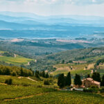 Cin Cin! A Tasty Guide to the Best Italian Wine Regions