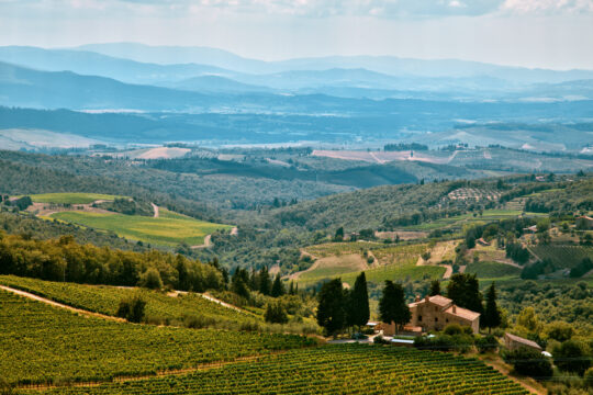 Wine tasting, Italy