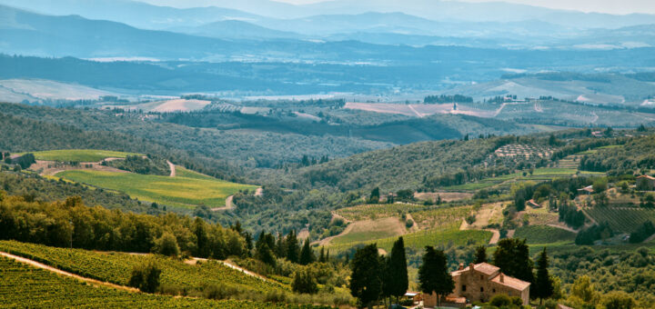 Wine tasting, Italy