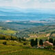 Wine tasting, Italy