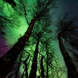 Northern Lights in the winter