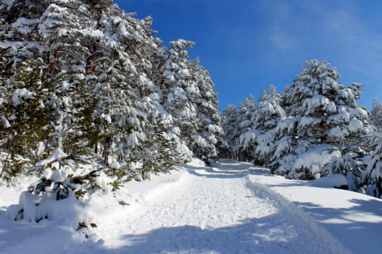 Madrid, Spain winter