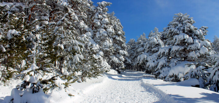 Madrid, Spain winter