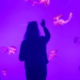 Toronto, Canada aquarium