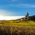 Wine Regions of Europe: 10 Destinations and Wineries You Can’t Miss