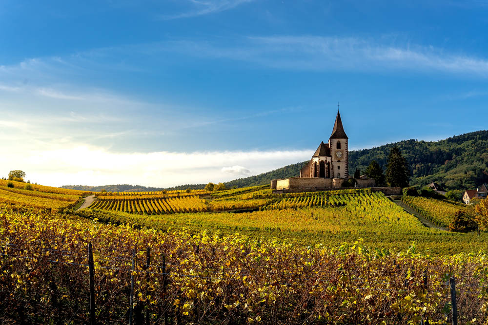 Best wine regions in Europe: Riquewihr, France