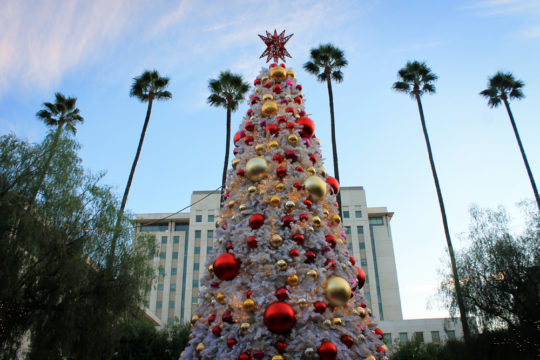Los Angeles Christmas tree