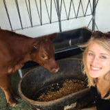 Jackson Dog & Pony Ranch