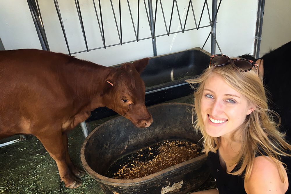 Jackson Dog & Pony Ranch