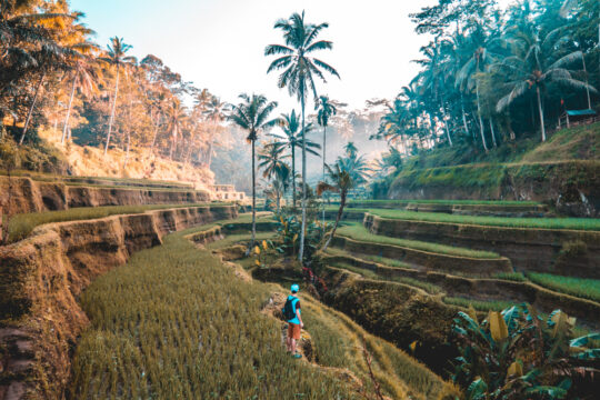 Bali travel tips