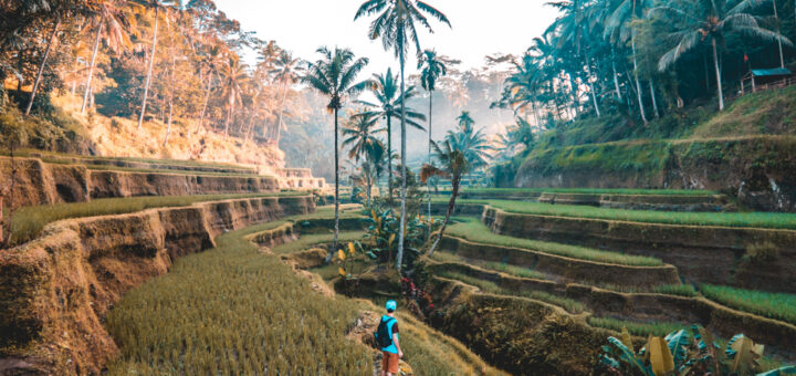 Bali travel tips