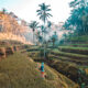 Bali travel tips