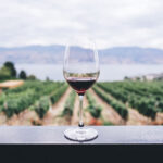 Where to Go Wine Tasting: Highlights from the U.S. and Canada