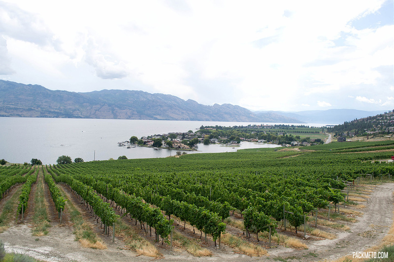 North America Wine Regions: Quails Gate, Okanagan Valley