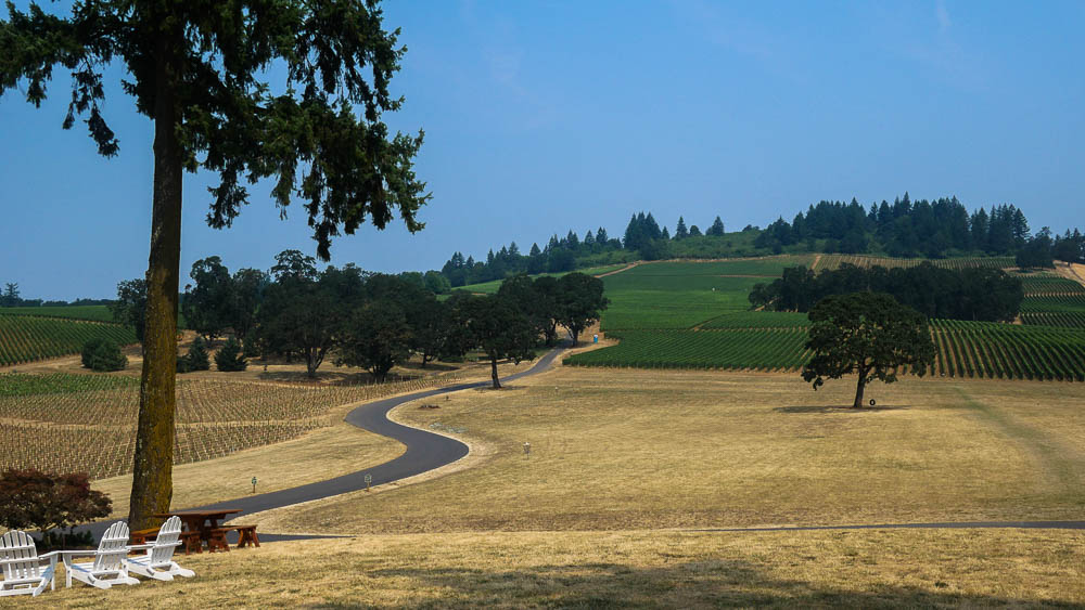 Wine tasting in Willamette Valley, Oregon