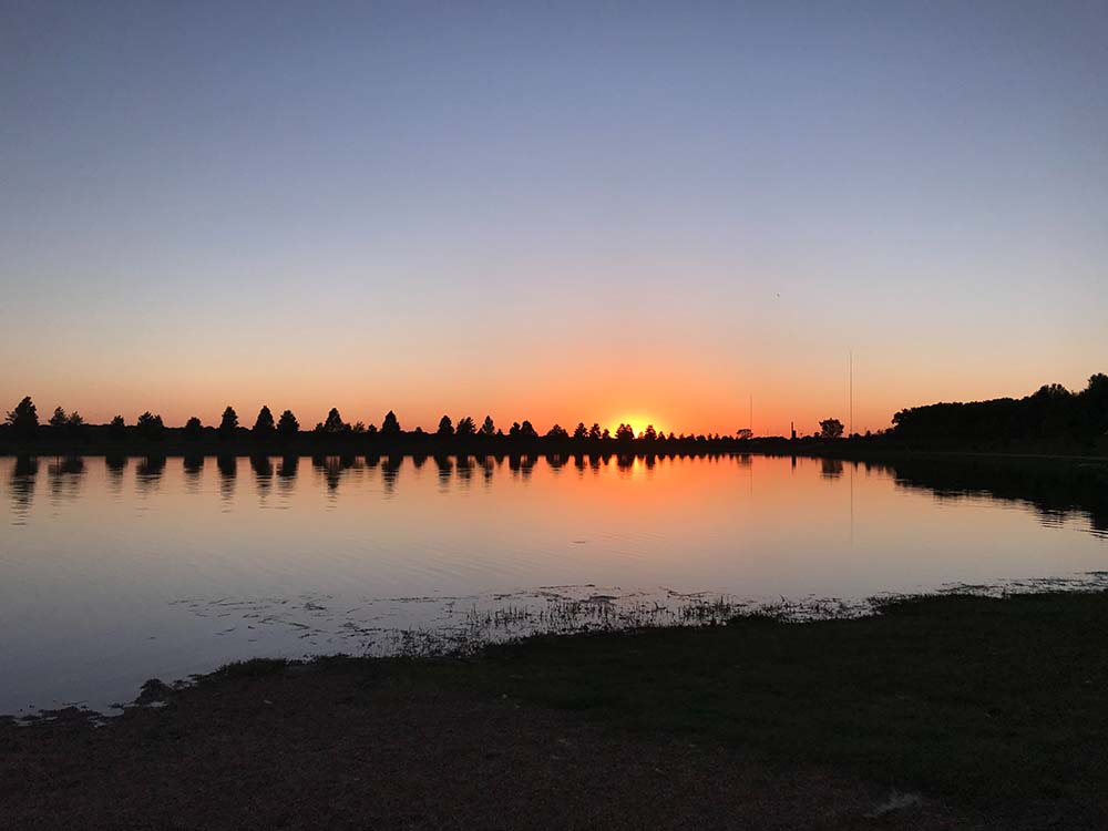 Shelby Farms, Memphis