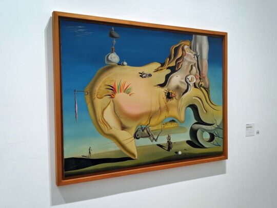 Dalí, Reina Sofia museum, Madrid