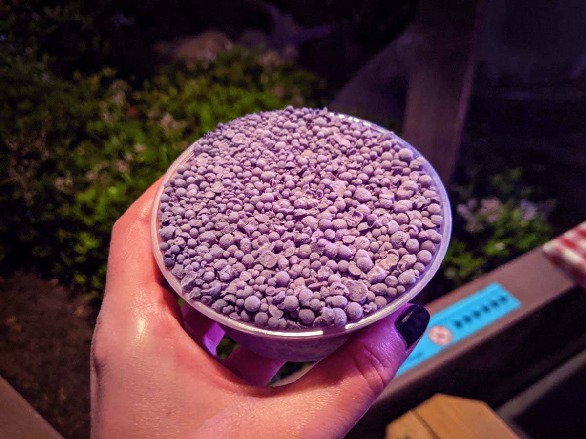 Boysenberry Dippin' Dots