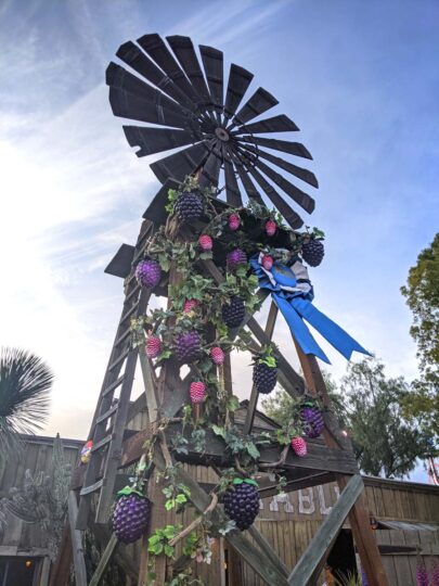 Knott's Taste of Boysenberry Festival