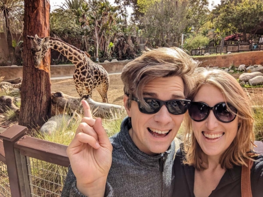 Giraffe at the L.A. Zoo