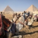 Camels in front of Egypt's Pyramids of Giza
