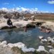 Mammoth Hot Springs